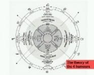 Diagram of Four Humours