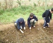Pupils in the field excavating Roman remains