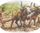 Stone Age to Iron Age – KQ2 additional information - Comparing life of hunter gathers with farmers