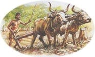 Stone Age man ploughing with oxen