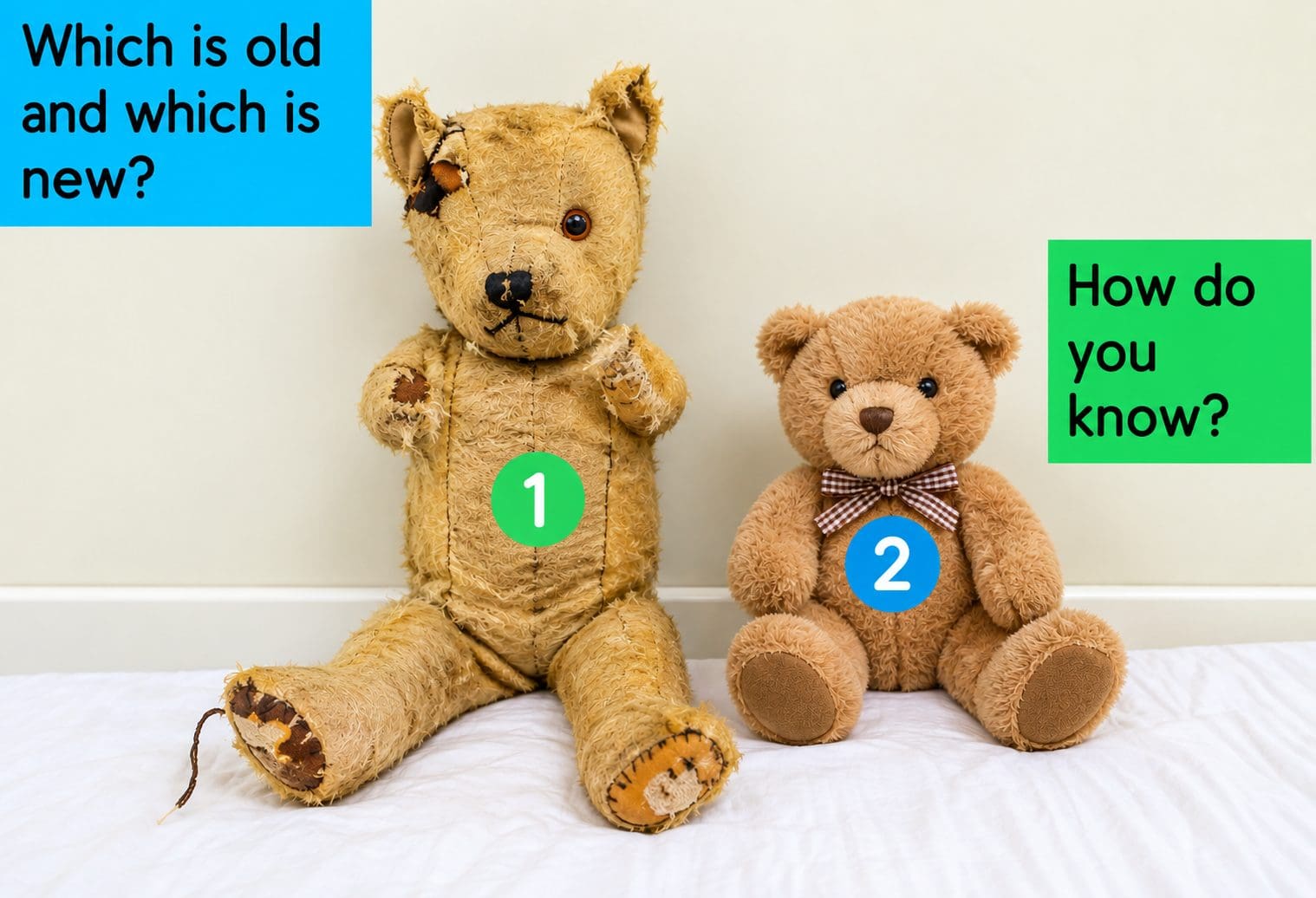 teds