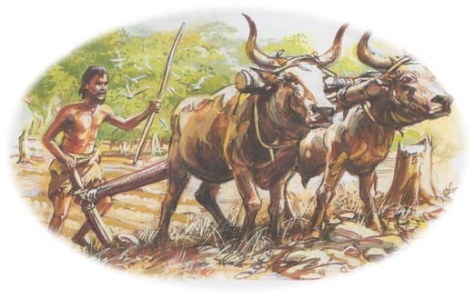 stone age