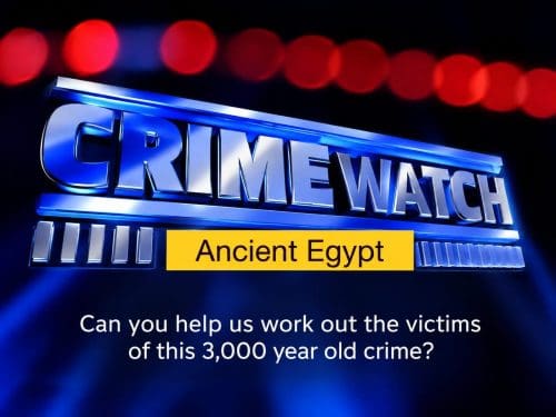 crimewatch lesson