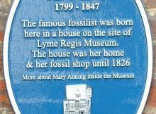 anning plaque