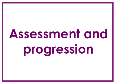 assessment and progression