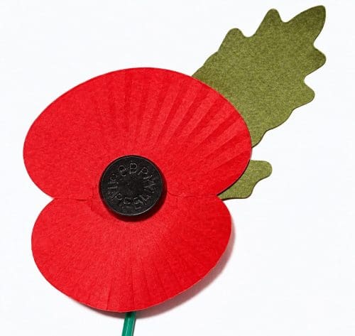 poppy